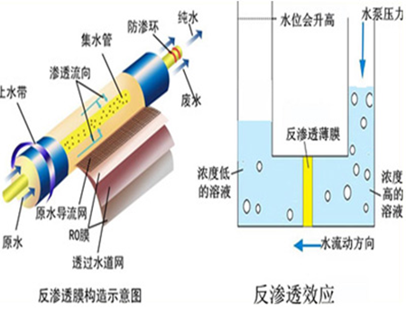 反渗透膜